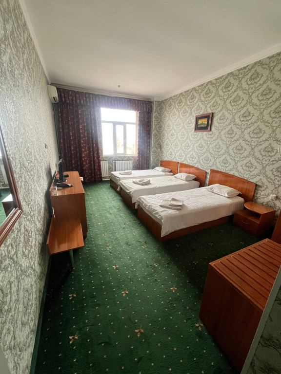 Гостиница Hayat Inn