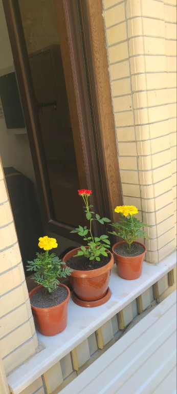 Гостевой дом Registan Center